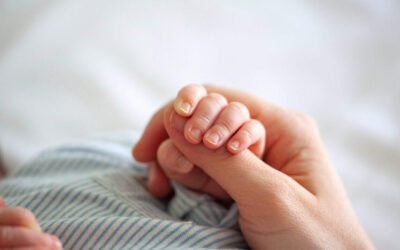 How to compare surrogacy agencies